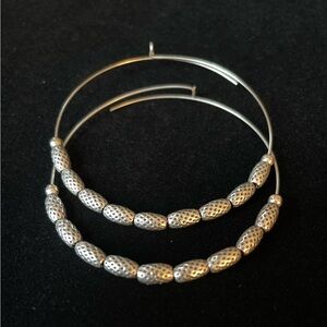 Alex and Ani Hoop Earrings